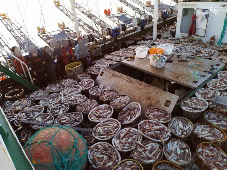Denuncian que flota china depreda el Mar Argentino y comete abusos laborales y ambientales